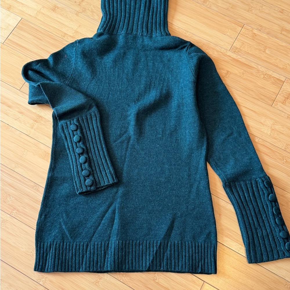 LIKE NEW! Banana Republic Evergreen Merino Wool Turtle Neck Sweater Sz M